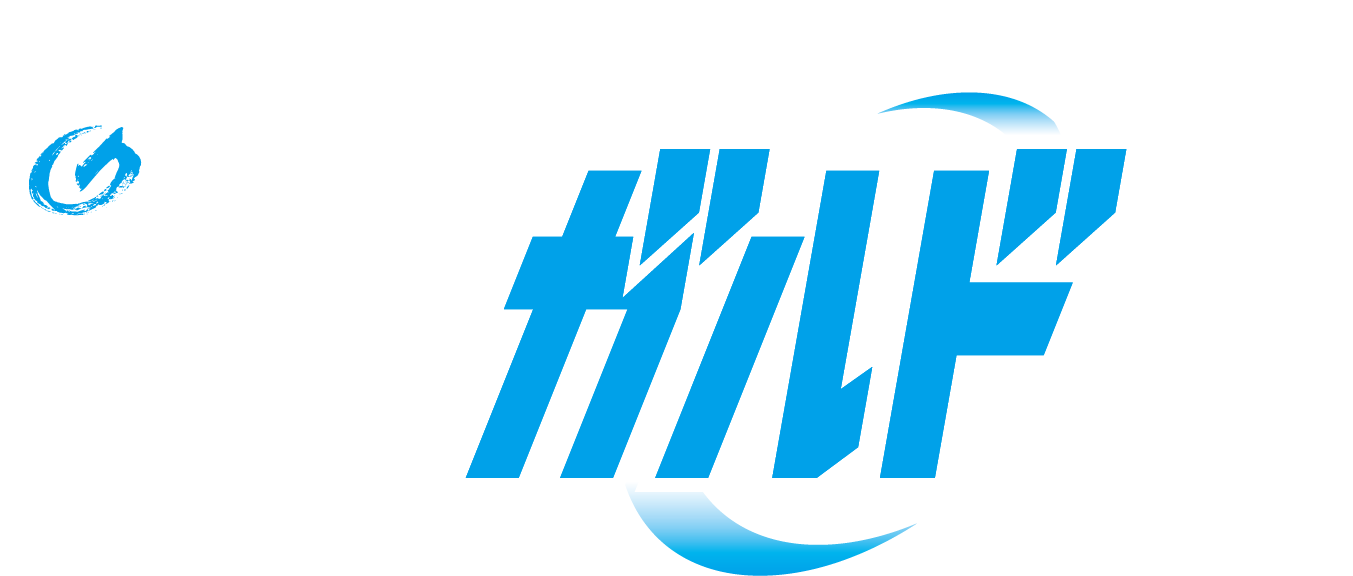 ガルド10周年特設サイト